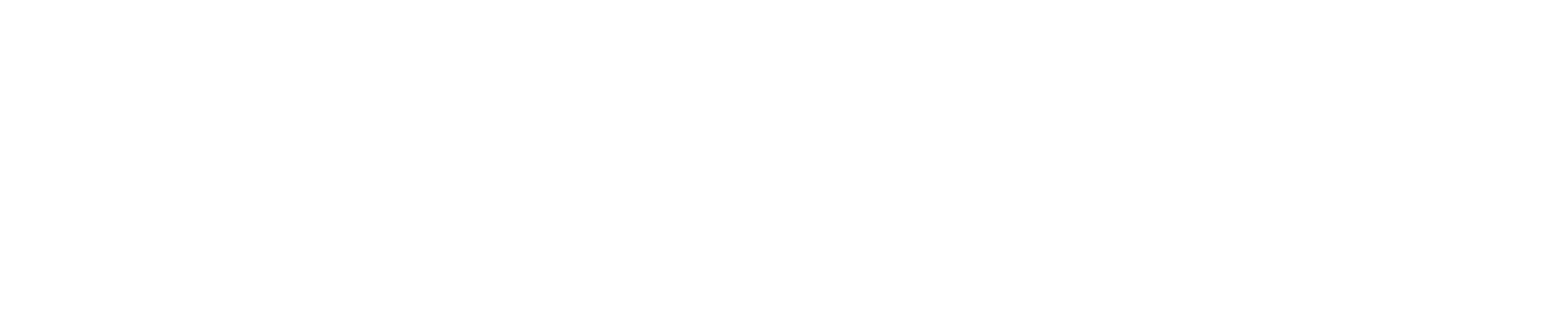 WhitBots Logo